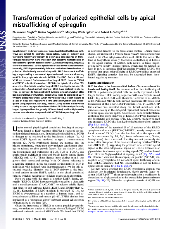 (PDF) Transformation of polarized epithelial cells by apical ...