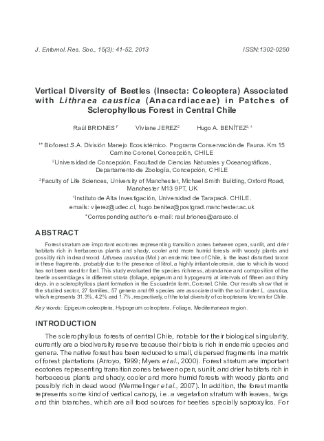 Habitat of coleoptera image