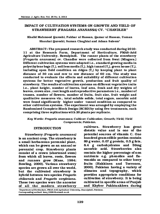 Growing strawberries in washington state picture