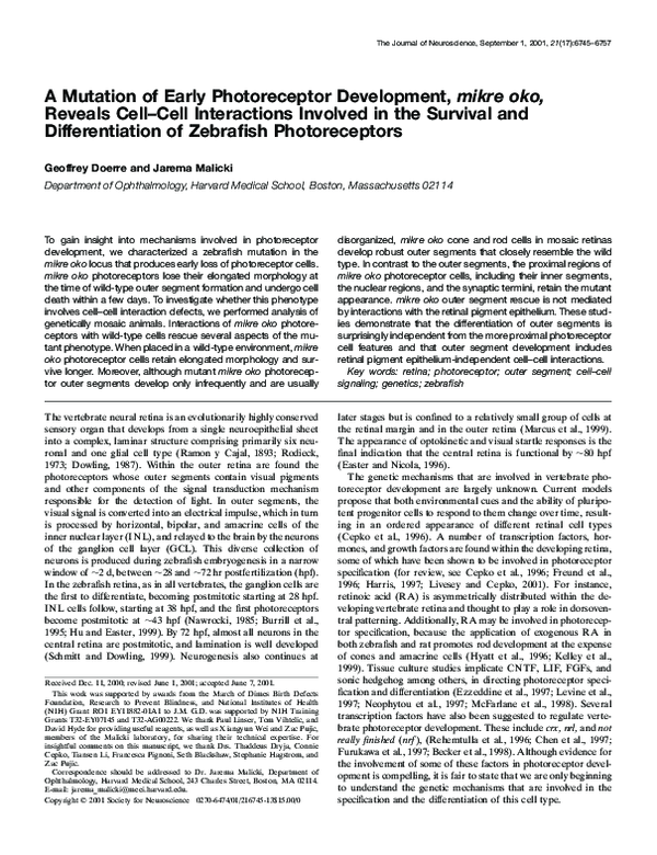 (PDF) Tbx2b is required for ultraviolet photoreceptor cell ...