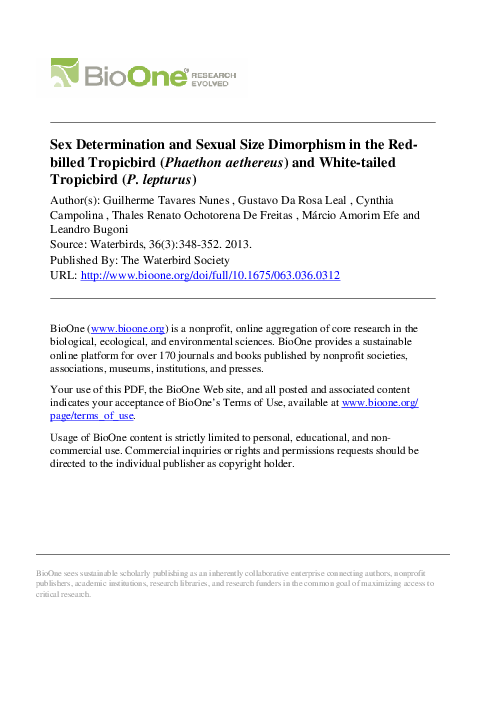 (PDF) BioOne Sex Determination and Sexual Size Dimorphism in the Red ...