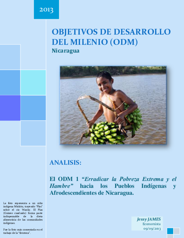 (PDF) NICARAGUA: Análisis del ODM 1 "Erradicar la Pobreza Extrema y el ...