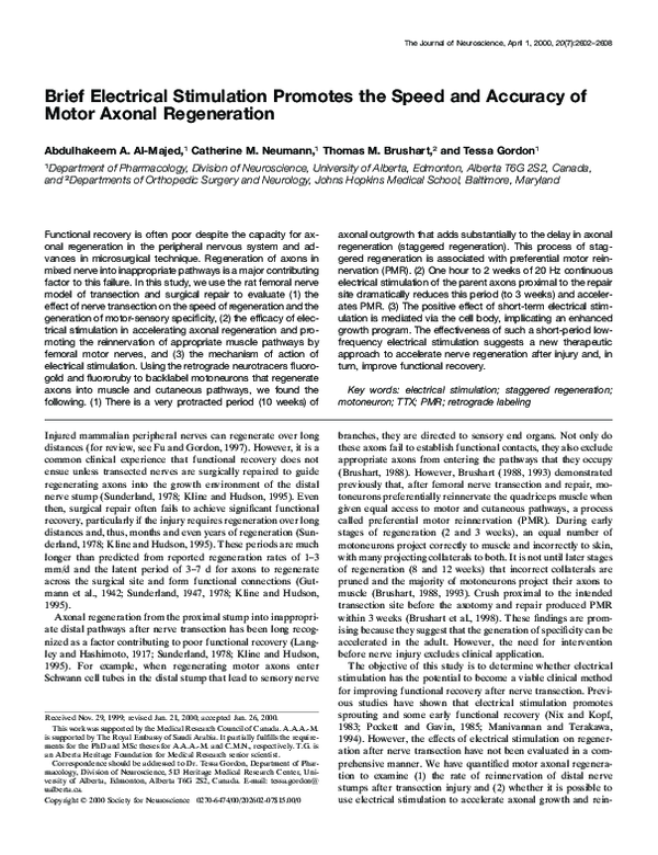 (PDF) Brief Electrical Stimulation Promotes the Speed and Accuracy of ...