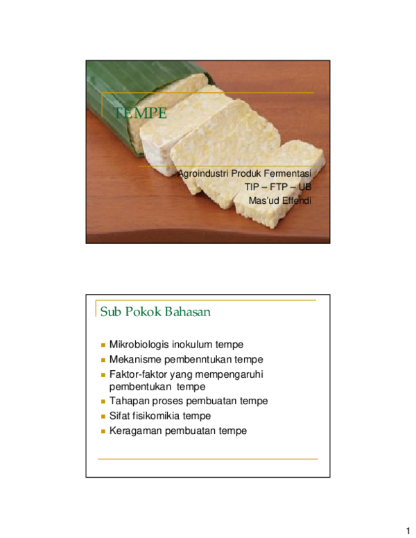 (PDF) TEMPE Agroindustri Produk Fermentasi TIP – FTP – UB Mas'ud Effendi