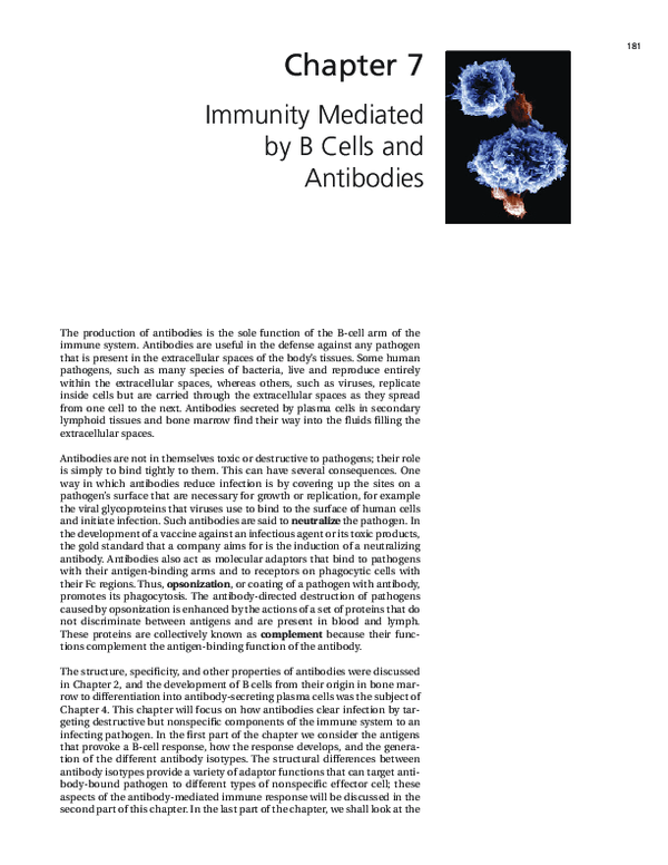 (PDF) Immunity Mediated by B Cells and Antibodies