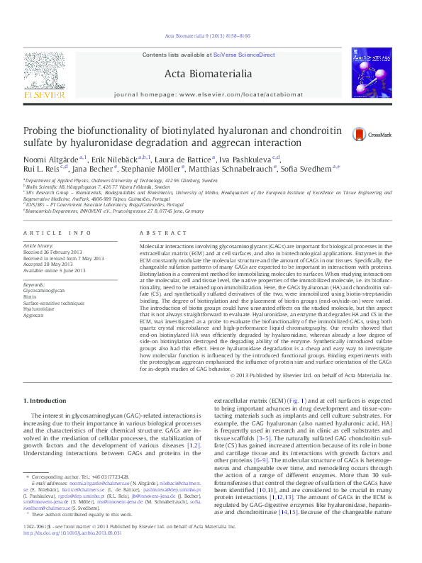 (PDF) Probing the biofunctionality of biotinylated hyaluronan and ...