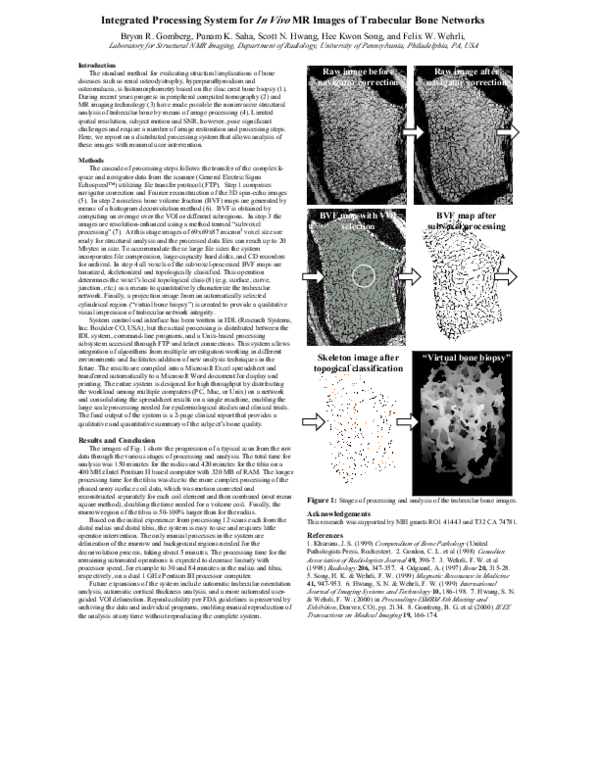  pdf integrated processing system for in vivo mr images of trabecular
