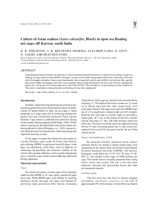 Asian seabass essay 06 image