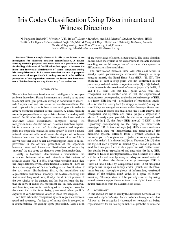 (PDF) Iris codes classification using discriminant and witness directions