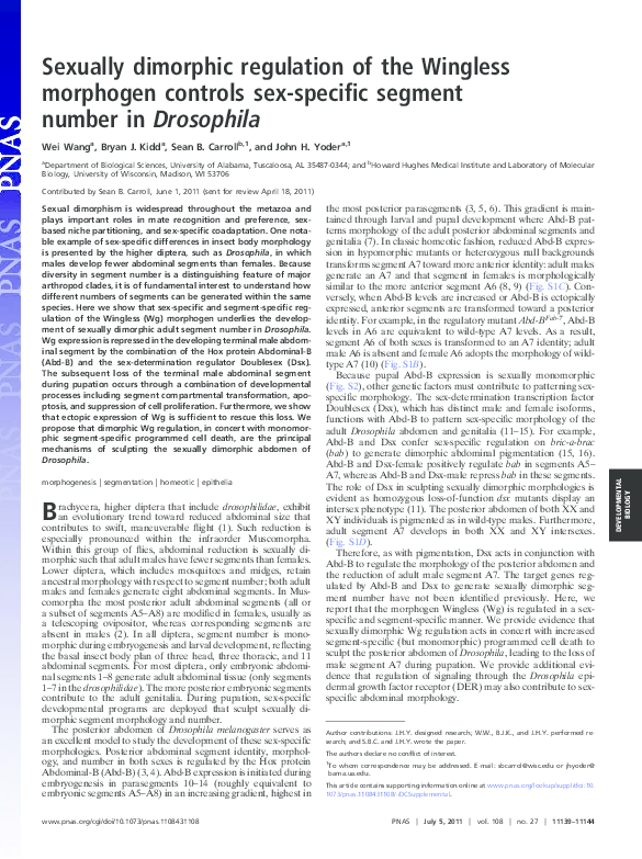 (PDF) Sexually dimorphic regulation of the Wingless morphogen controls ...