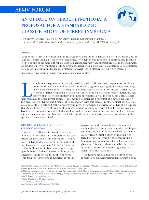 Where to buy a ferret picture