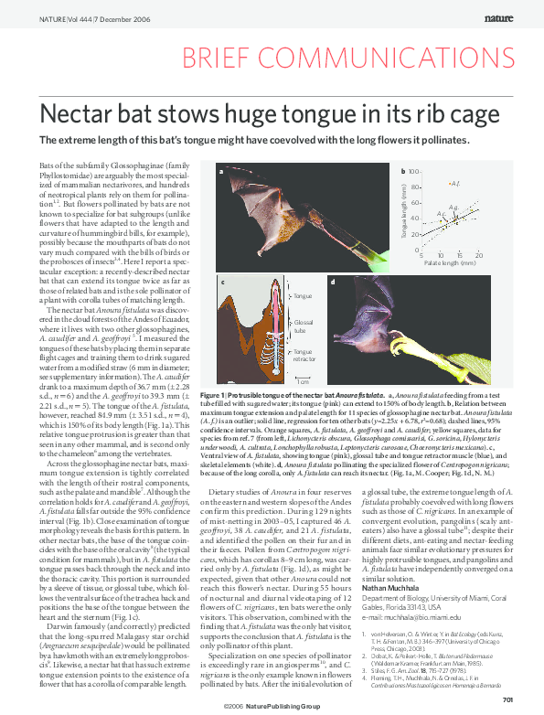 (PDF) Nectar Bat Stows Huge Tongue In Its Rib Cage