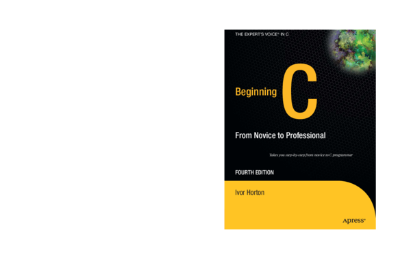 Curriculum vitae format in word picture