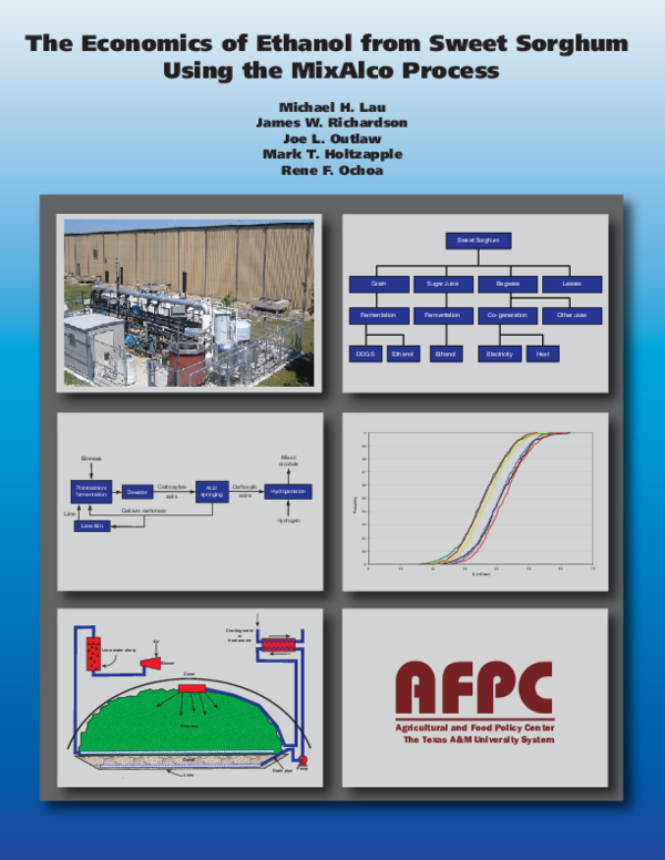 (PDF) The Economics of Ethanol from Sweet Sorghum Using the MixAlco Process