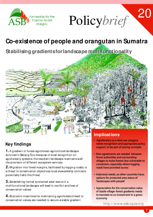 (PDF) Co-existence of people and orangutan in Sumatra Stabilising ...
