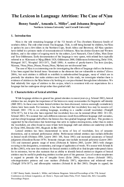 Case attrition essay 07 image