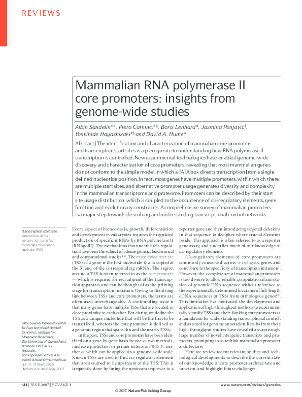 (PDF) Mammalian RNA polymerase II core promoters: insights from genome ...