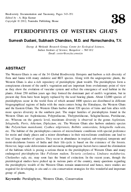 Life cycle of pteridophytes image