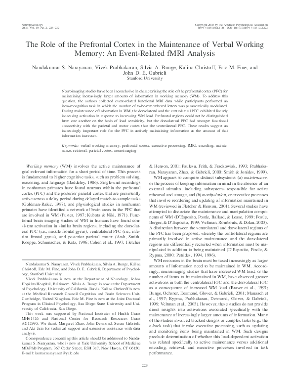(PDF) The Role of the Prefrontal Cortex In the Maintenance of Verbal ...