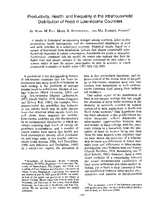 Theoretical framework of low income earners essay sample essay 04 picture