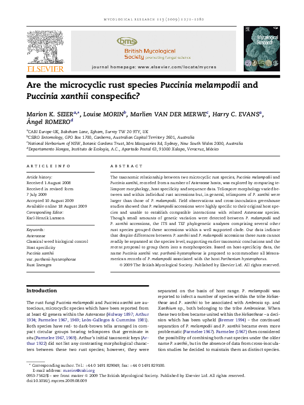 (PDF) Are the microcyclic rust species Puccinia melampodii and Puccinia xanthii conspecific