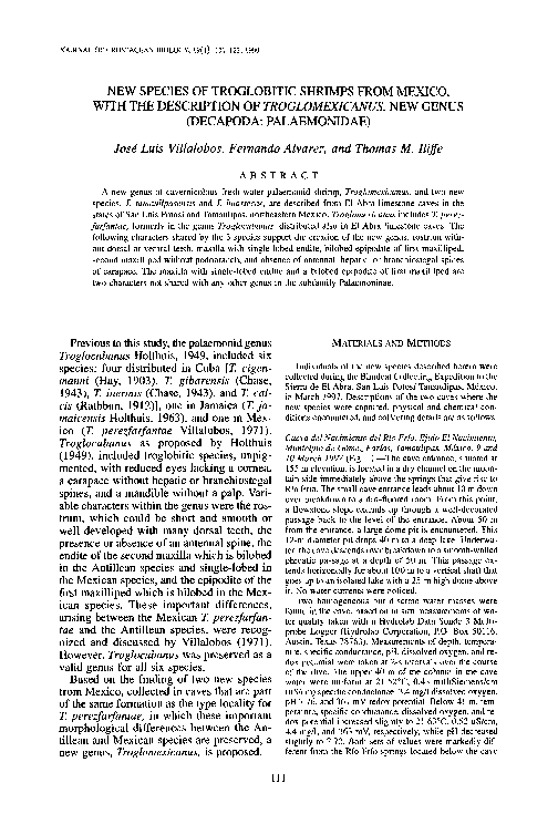 A1upi luis villalobos essay 03 image