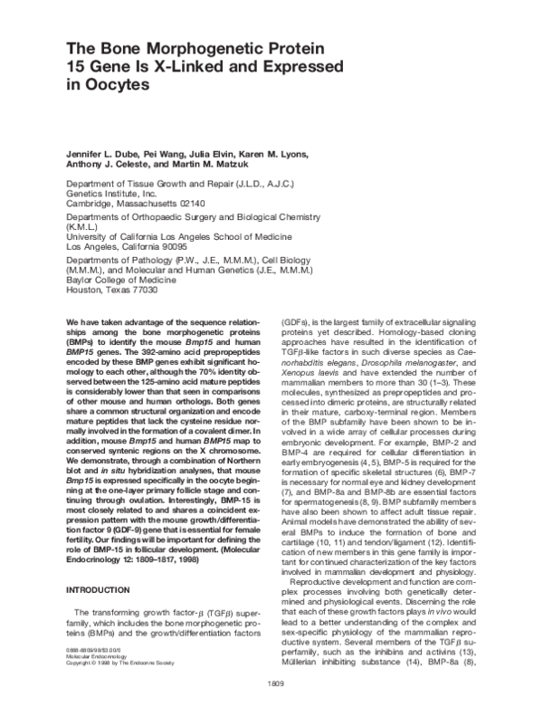 (PDF) The Bone Morphogenetic Protein 15 Gene Is X-Linked and Expressed ...