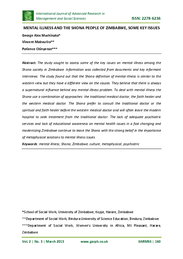 Zimbabwe issues essay 07 image