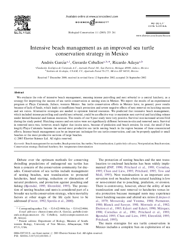 Information about turtles picture