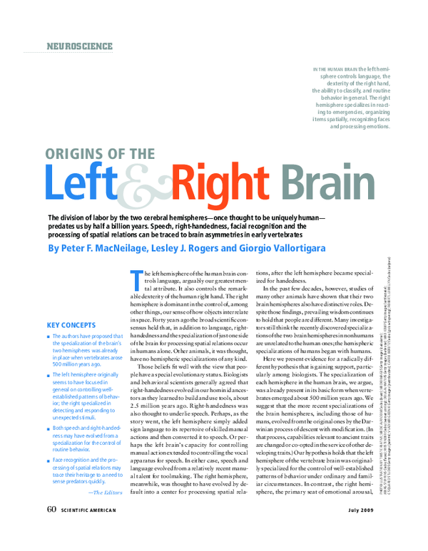 (PDF) Origins of the Left and Right Brain