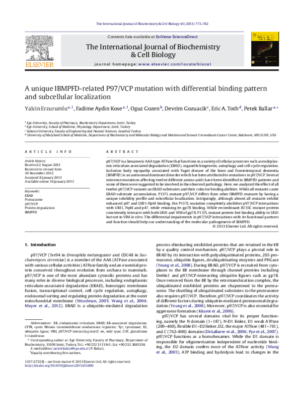 (PDF) A unique IBMPFD-related P97/VCP mutation with differential ...
