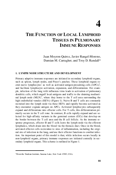 (PDF) Adv Exp Med Biol 2007 Moyron Quiroz