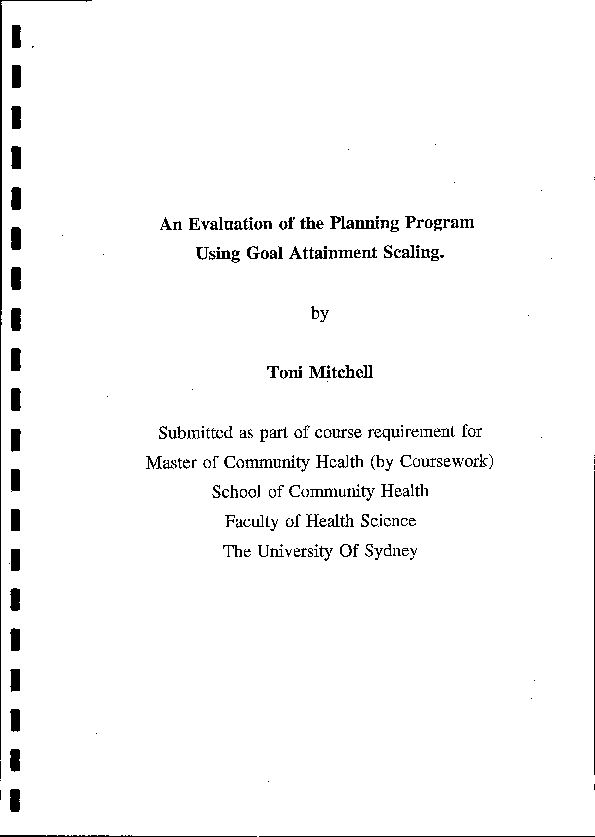 (PDF) An Evaluation of the Planning Program