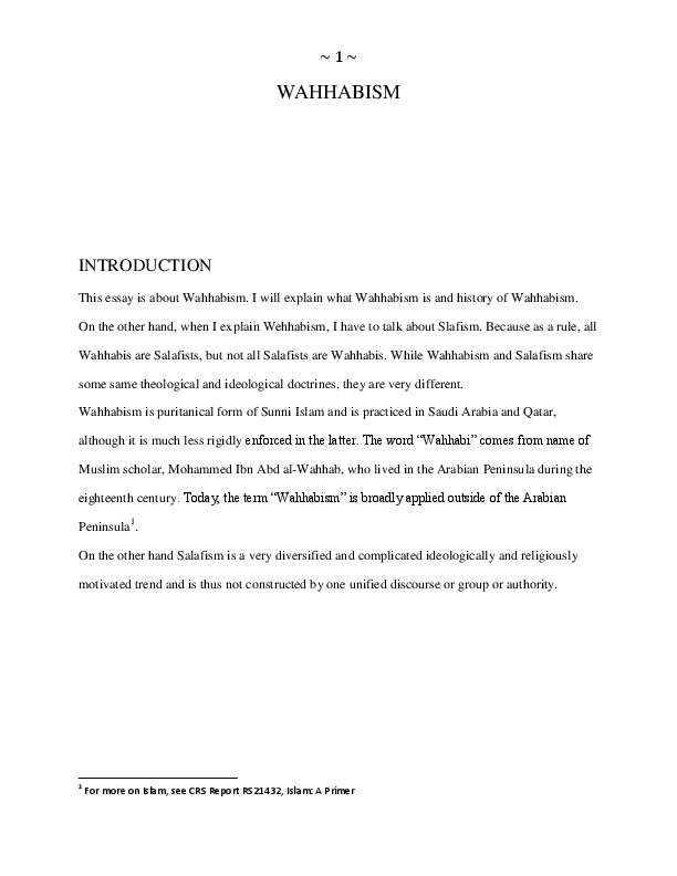 Puritanical islam essay 07 picture