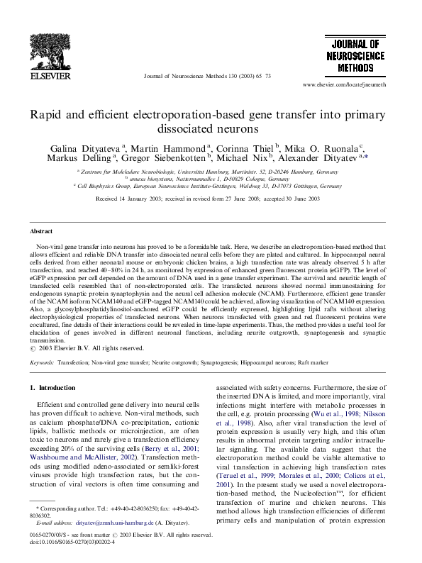 (PDF) Efficient Transfection of Neural Stem Cells by Electroporation