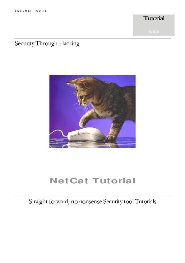 Pdf Netcat Aulia Farhan Academia Edu