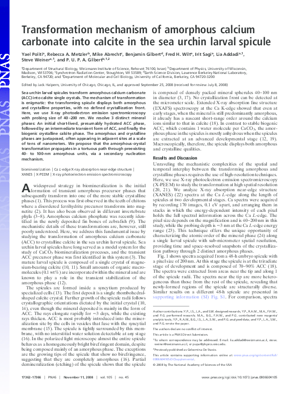 (PDF) Transformation mechanism of amorphous calcium carbonate into ...