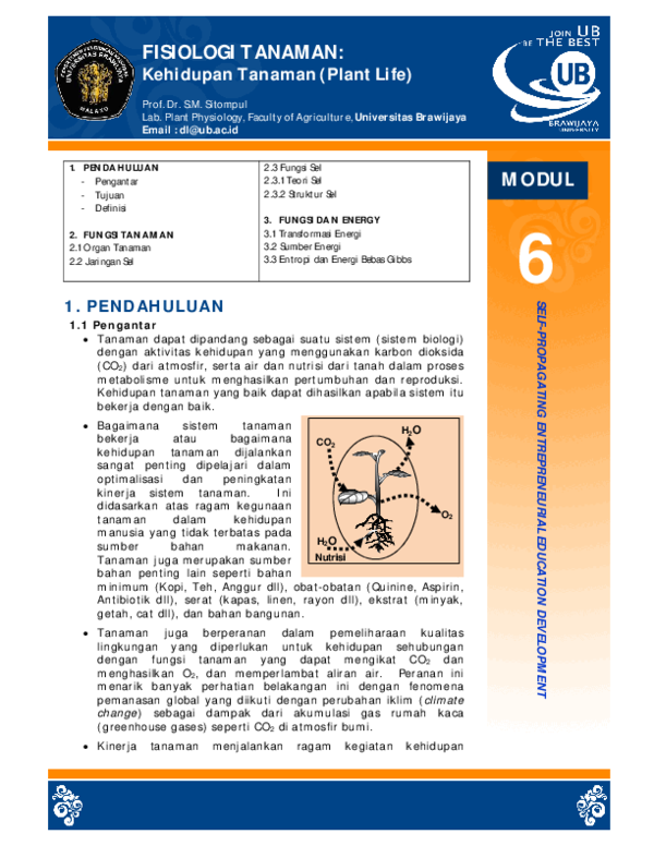(PDF) Contoh-modul