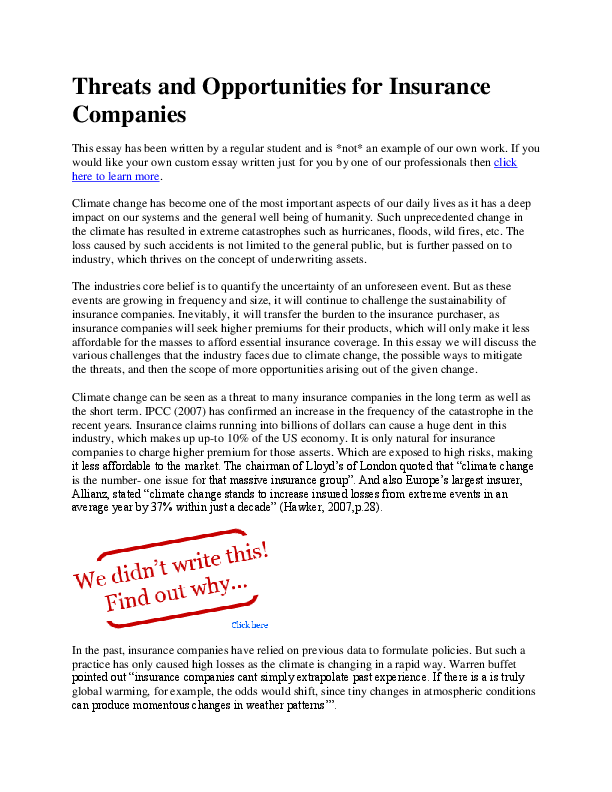 Opportunities threats essay picture