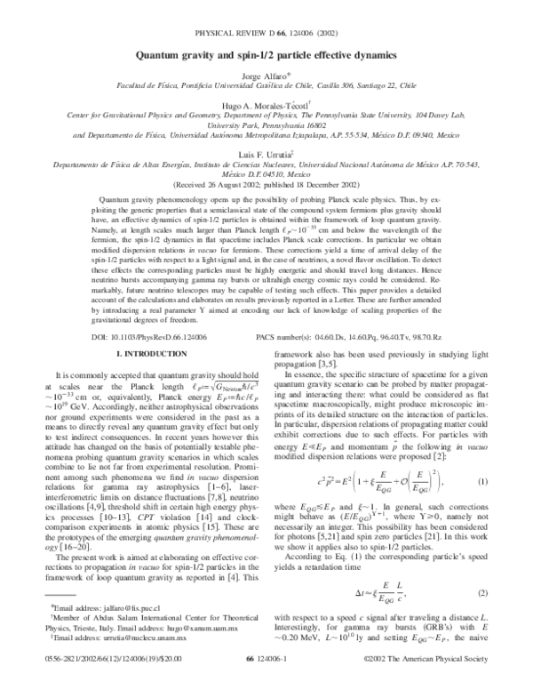 (PDF) Quantum gravity and spin-1/2 particle effective dynamics