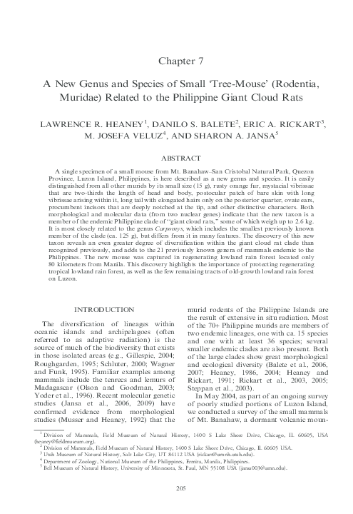 (PDF) A new genus and species of small “tree mouse” (Rodentia, Muridae ...