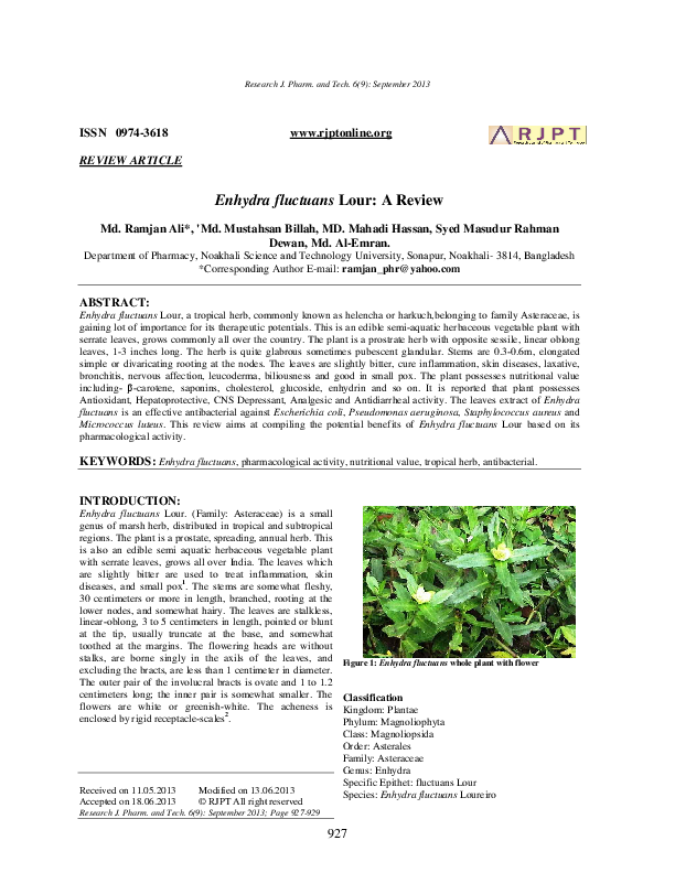 (PDF) Enhydra fluctuans Lour: A Review