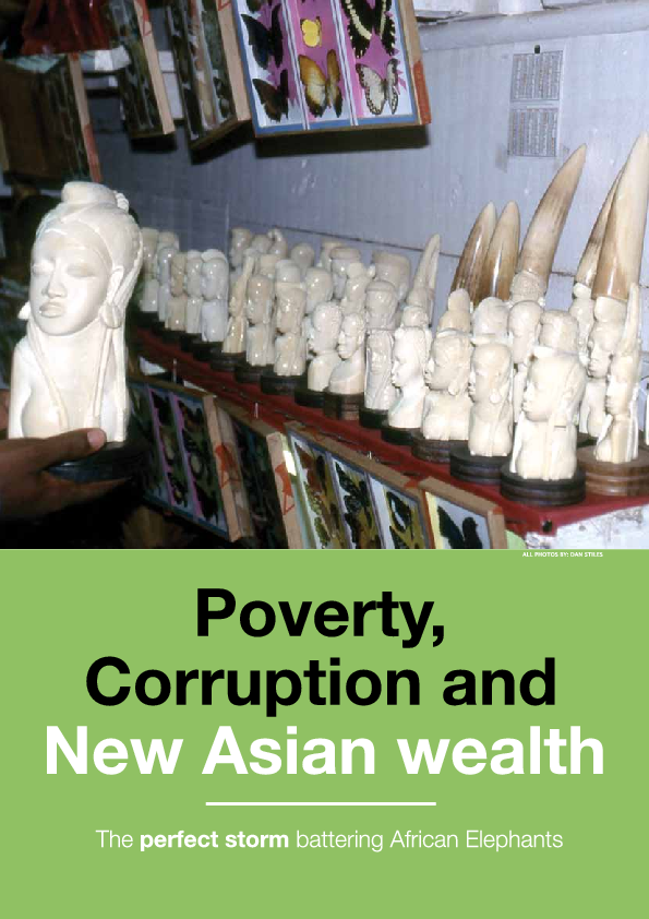 The ivory game image