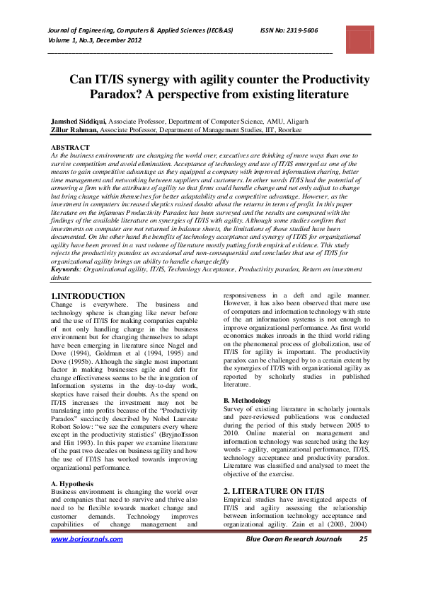 What is the productivity paradox quizlet picture