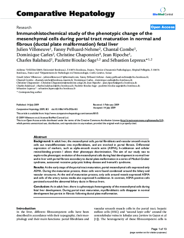 (PDF) Immunohistochemical study of the phenotypic change of the ...