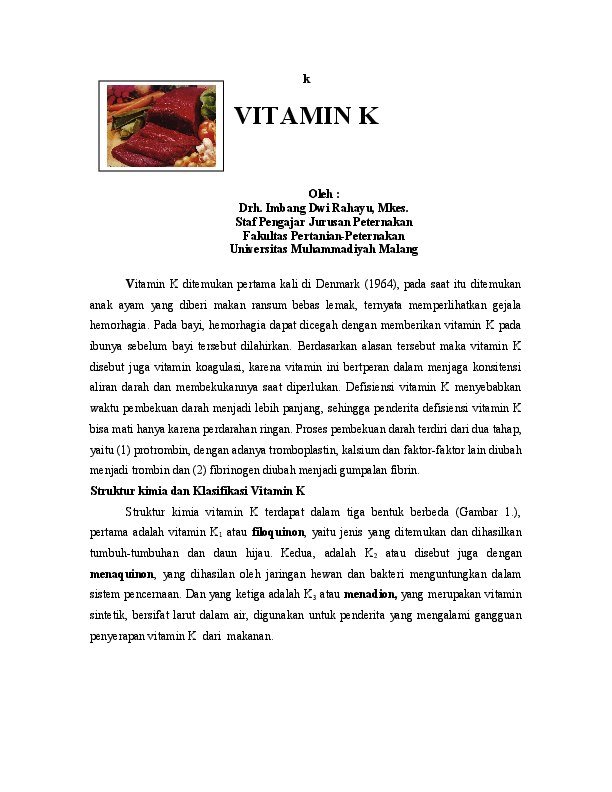 Jurnal Vitamin K Link Guru