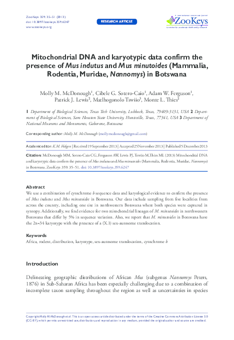 (PDF) Mitochondrial DNA and karyotypic data confirm the presence of Mus