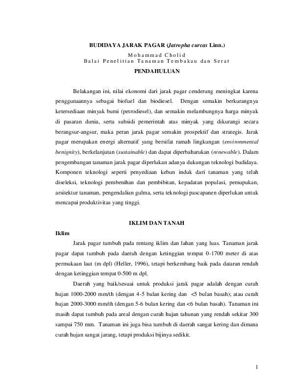 Pdf Budidaya Jarak Pagar Cholid Balittas