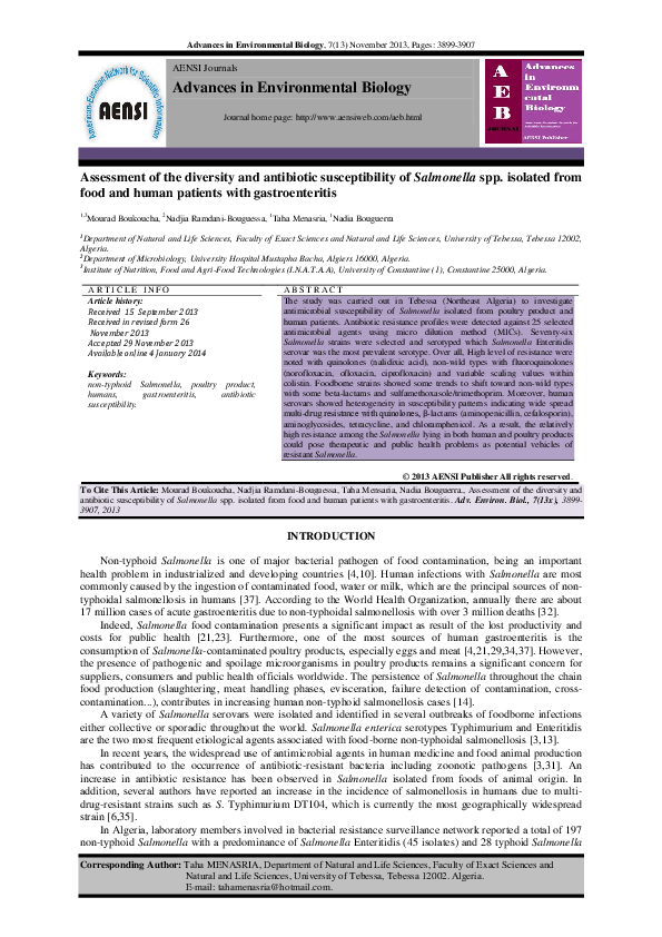 Salmonella life essay image