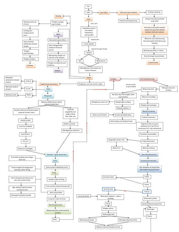 Peta research papers 07 image